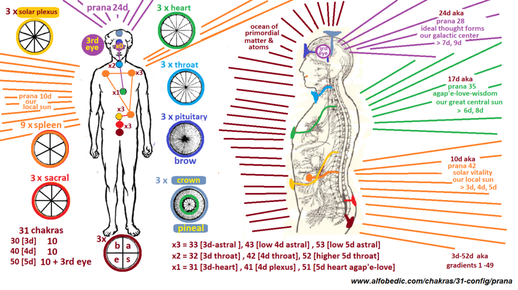 This image has an empty alt attribute; its file name is 31-chakras-prana-1-1024x574.png